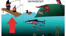 Антропічний вплив на атмосферу та гідросферу