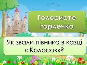 06011h6w-c9c0-304x228.jpg