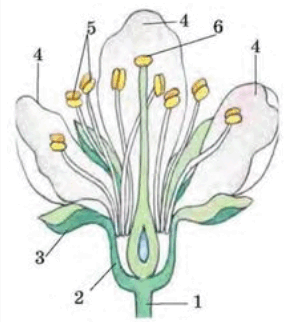 06011hhr-881a-286x322.png