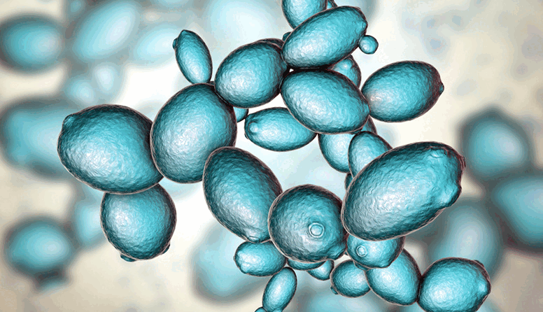 06011hiz-f3d0-776x446.png