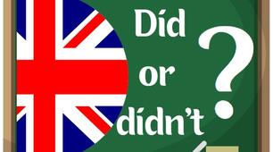 Did/Didn't