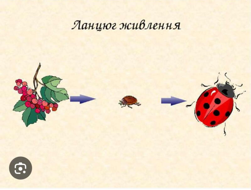 06011hy9-3863-800x606.jpg
