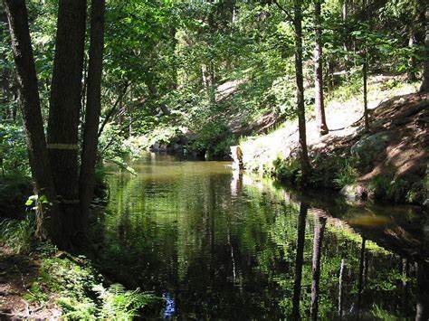 Nature | Nature Wiki | Fandom