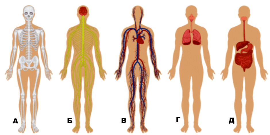 06011iwq-e3b1-940x472.png