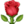 🌹