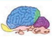 06011j19-a4bc-206x158.png