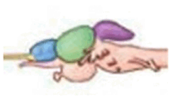06011j1f-21df-247x144.png