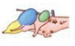 06011j1j-141d-241x148.png