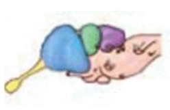 06011j1s-02f1-248x161.png