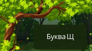 Презентація "Буква Щ. Письмо маленької букви щ" 1 клас НУШ