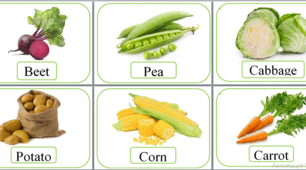 Картки з англійської мови на тему "Овочі". Flashcards "Vegetables".