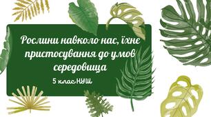 Презентація "Рослини навколо нас, їхнє пристосування до умов  середовища", 5 клас НУШ