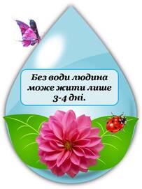 06011kdq-9000-203x271.jpg