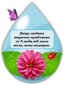 06011kdx-5fe4-217x289.jpg