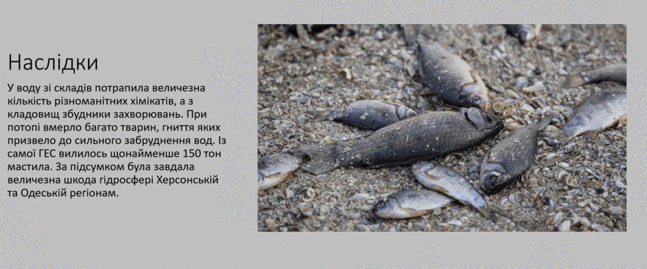 06011kj0-f161-940x391.png