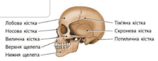 06011o51-9824-324x125.png