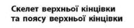 06011o5e-2f2e-195x41.png