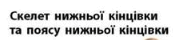 06011o5m-467d-187x40.png