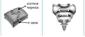 06011o8c-054e-314x140.png
