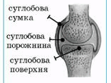 06011o9d-2e06-157x118.png