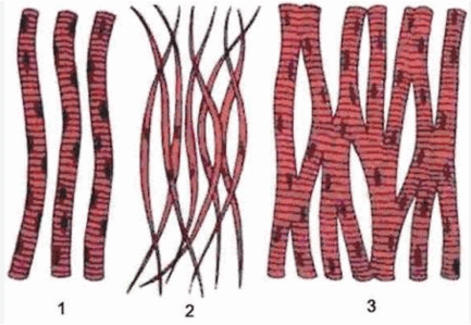 06011oeu-36c3-433x299.png