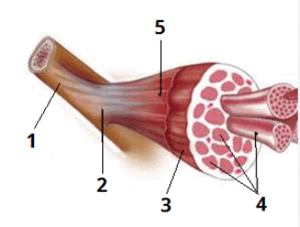 06011omk-f3a0-273x206.png