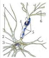 06011oul-b8e9-189x222.png