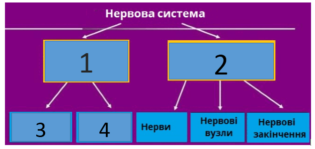 06011p6y-5468-634x300.png