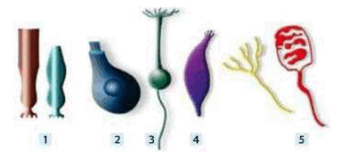 06011q96-258b-380x171.png