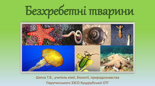  Безхребетні тварини
