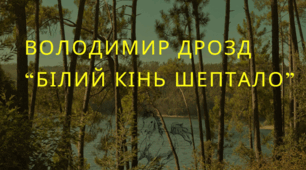 Урок-презентація за твором Володимира Дрозда "Білий кінь Шептало"
