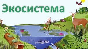 Форми співіснування організмів в екосистемі