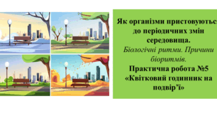 Презентація для 6 класу на тему " Як організми пристовуються до періодичних змін середовища.  Біологічні ритми. Причини біоритмів.  Практична робота №5 «Квітковий годинник на подвір’ї»+ робоча картка "Види біоритмів""