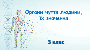 Презентація "Органи чуття людини, їх значення. 3 клас"