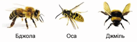 06011tjm-307a-437x135.png