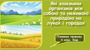 Презентація ВЗАЄМИНИ ОРГАНІЗМІВ  МІЖ СОБОЮ ТА НЕЖИВОЮ  ПРИРОДОЮ НА ЛУКАХ  І ГОРОДАХ