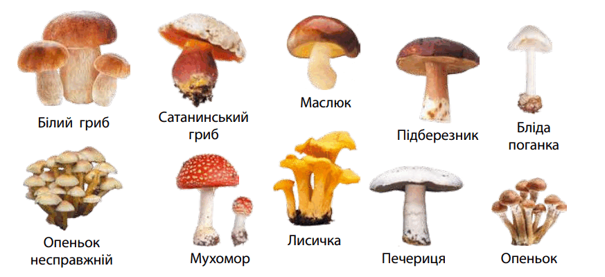 06011vel-9e75-873x400.png