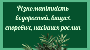 Різноманітність водоростей, вищих спорових, насінних рослин