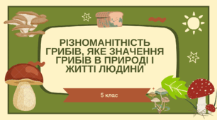 Різноманітність грибів, яке значення грибів в природі і житті людини