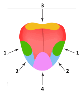 06011wrz-a3d7-291x331.png