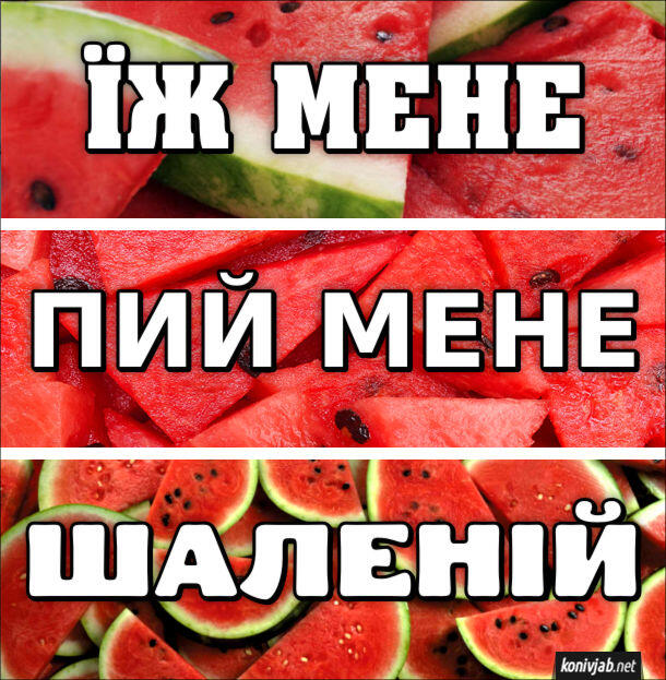 06011x53-309c-610x623.jpg