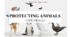 Презентація на тему "Protecting animals?" (life skills) 6 кл НУШ