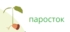 06011zh7-fb88-225x102.png