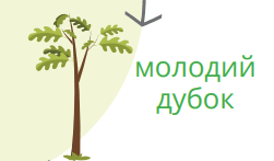 06011zhi-79d7-251x147.png