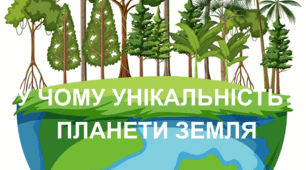 Практична робота "У чому унікальність планети Земля". 5 клас