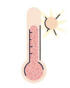 060121eb-d30d-244x306.png