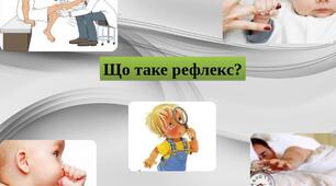 Умовні та безумовні рефлекси.ВНД