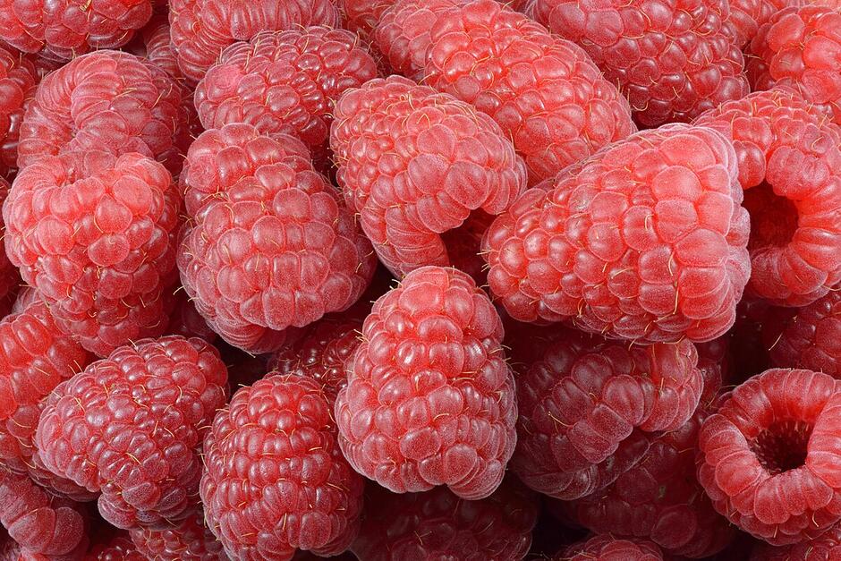 Raspberry - Wikipedia