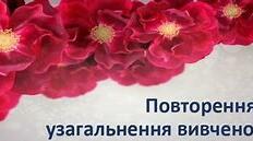 Повторення й узагальнення вивченого за 9 клас. Вікторина (правда/неправда)