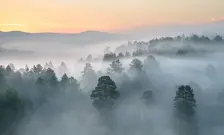 0601265o-1be0-224x135.webp